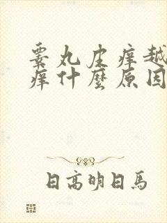 睾丸皮痒越抓越痒什么原因