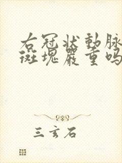 右冠状动脉钙化斑块严重吗