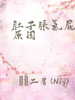 肚子胀气屁多的原因