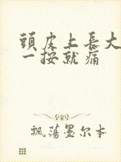 头皮上长大疙瘩一按就痛