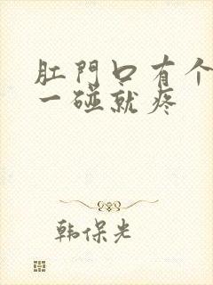 肛门口有个肉球一碰就疼