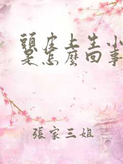 头皮上生小疙瘩是怎么回事