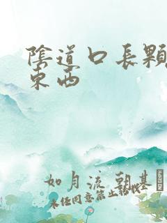 阴道口长颗粒状东西