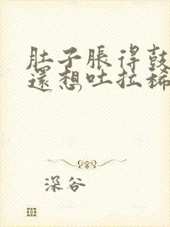 肚子胀得鼓鼓的还想吐拉稀