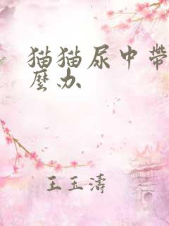 猫猫尿中带血怎么办