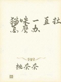 猫咪一直拉软便怎么办