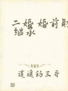 二婚 婚前财产 继承