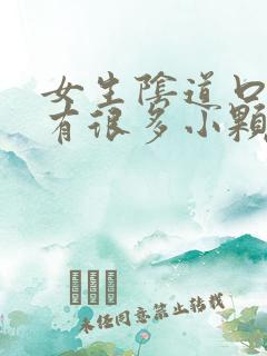 女生阴道口里面有很多小颗粒