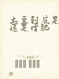 土豆到底是减肥还是增肥