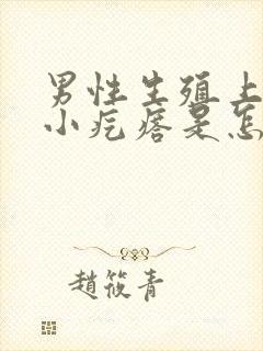 男性生殖上方有小疙瘩是怎么回事