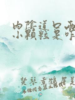 内阴道口两侧有小颗粒是咋回事