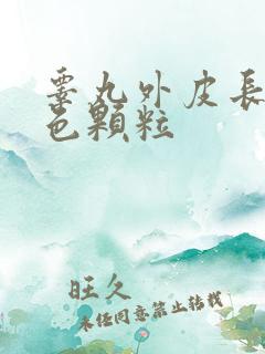 睾丸外皮长了白色颗粒