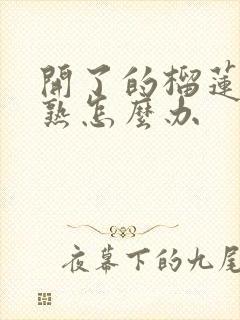 开了的榴莲肉没熟怎么办