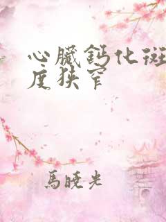 心脏钙化斑块轻度狭窄