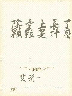 阴囊上长了个肉颗粒是什么病