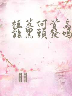 植萃何首乌真的能黑头发吗