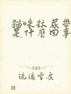 猫咪拉尿带点血是什么回事