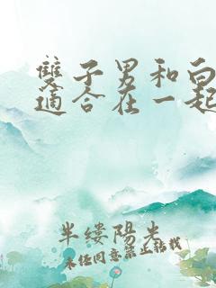 双子男和白羊女适合在一起吗