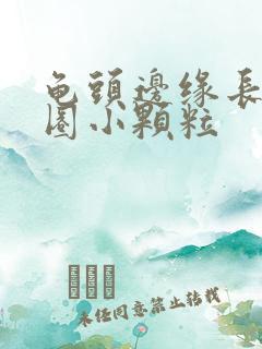 龟头边缘长了一圈小颗粒