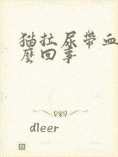 猫拉尿带血是怎么回事