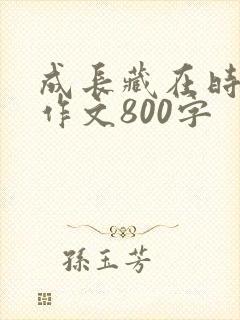成长藏在时光里作文800字