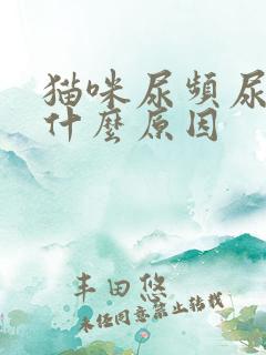 猫咪尿频尿少是什么原因