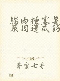 脑内梗塞是什么原因造成的