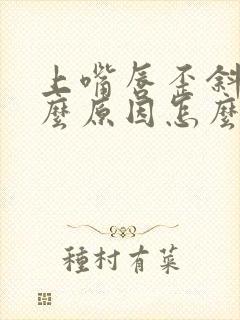 上嘴唇歪斜是什么原因怎么调整