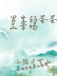 男生的蛋蛋下垂正常吗