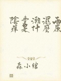 阴囊潮湿两侧瘙痒是什么原因造成的