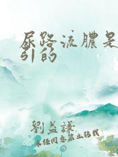 尿路流脓是什么引的