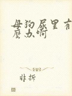 母狗尿里有血怎么办啊