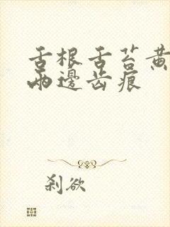 舌根舌苔黄腻 两边齿痕