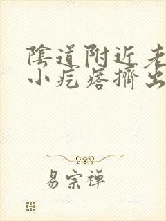 阴道附近老是有小疙瘩挤出来白色颗粒