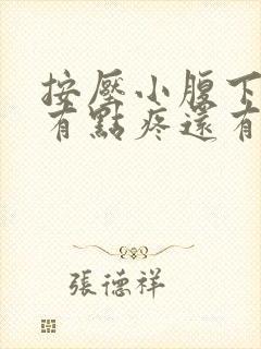 按压小腹下面会有点疼还有尿意