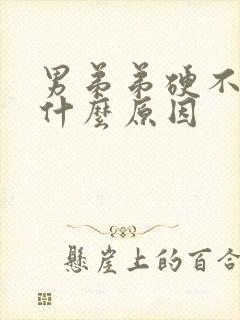 男弟弟硬不起来什么原因