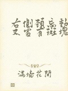 右侧颈忘动脉分又处有斑块怎样治疗