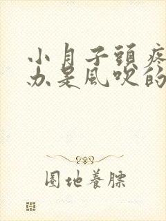 小月子头疼怎么办是风吹的吧