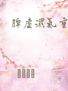 脾虚湿气重痰湿