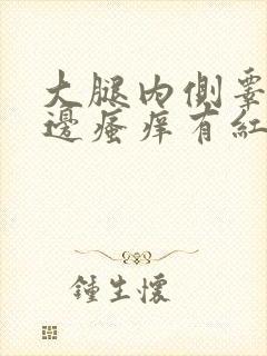 大腿内侧睾丸旁边瘙痒有红疙瘩用药