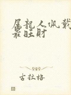 属龙人佩戴什么最旺财