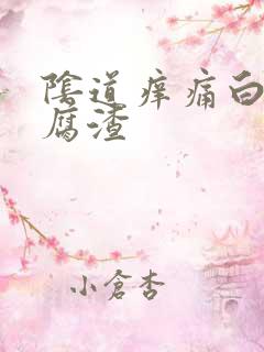 阴道痒痛白带豆腐渣