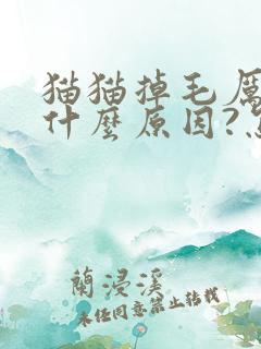 猫猫掉毛厉害是什么原因?怎么治