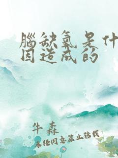 脑缺氧是什么原因造成的