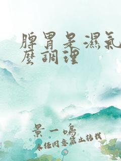 脾胃是湿气重怎么调理