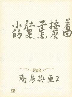 小肚子按着硬硬的是怎么回事