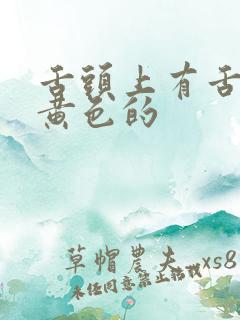 舌头上有舌苔是黄色的