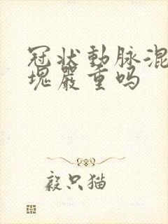 冠状动脉混合斑块严重吗