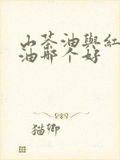 山茶油与红花籽油哪个好