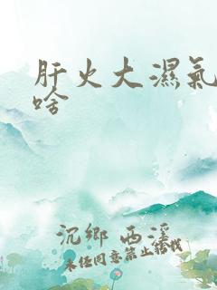 肝火大湿气重吃啥